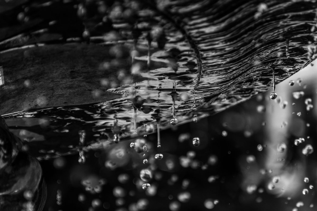 droplets, water, texture, black and white, dripping, photography, background, art, dripping water, surface, detail, liquid, particles, drop, abstract, calligraphy, plastic, photo art, stream, wet