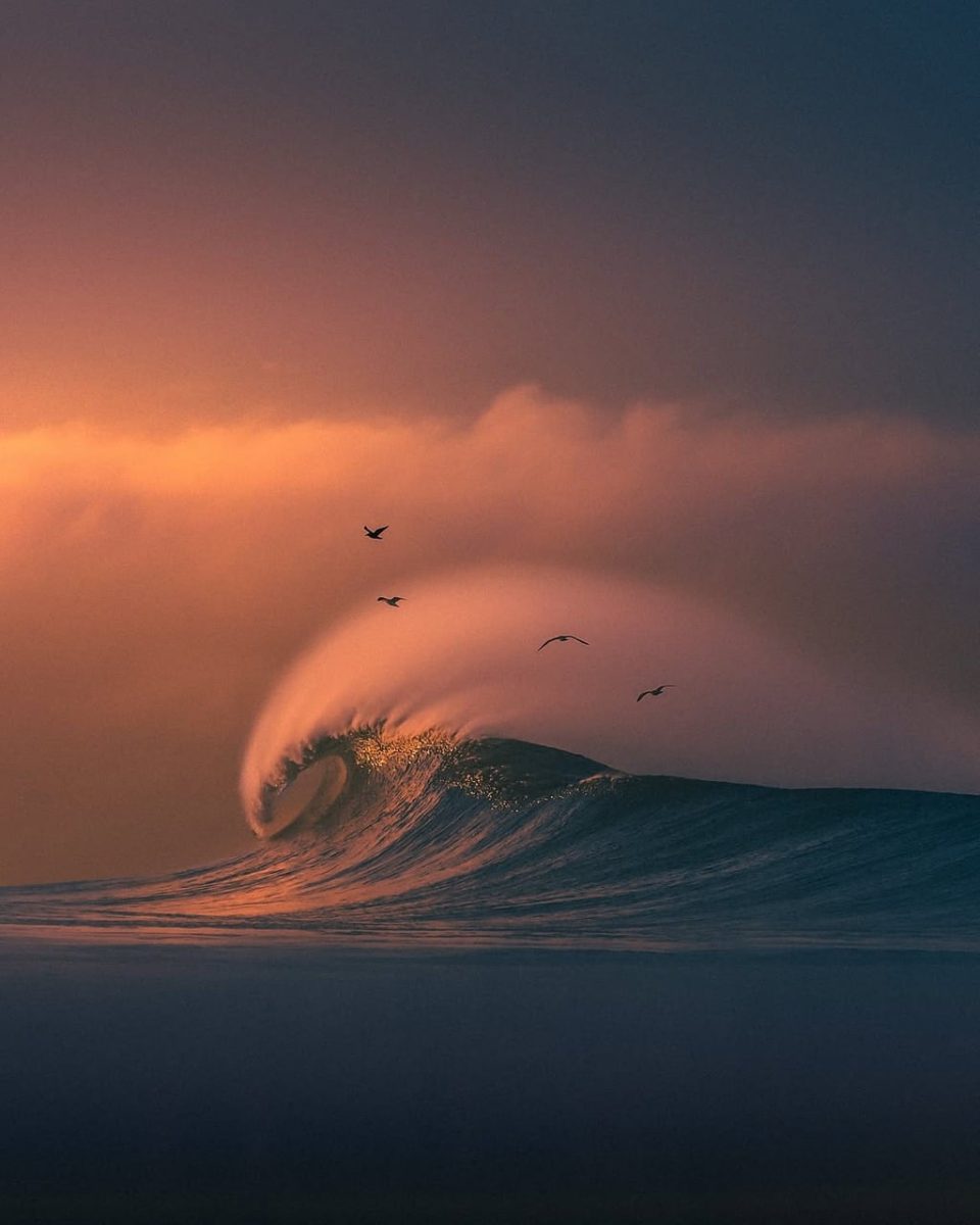 ocean, wave, sunset, dramatic sky, nature, soft light, golden hour, sea mist, natural beauty, birds, water drop, coast, spray, ocean wave, shore, birds over water, glare-free, fluid motion, evening calm, sea horizon, flowing water