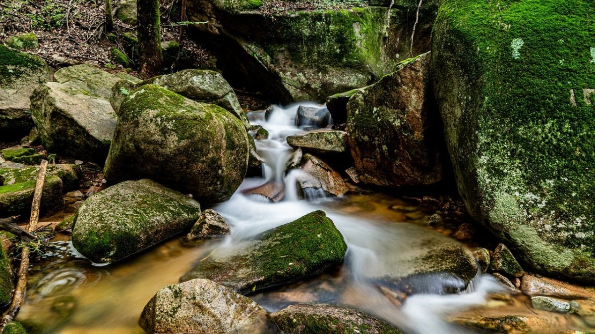 nature, stream, rocky, forest, waterfall, rock formation, water flow, bank, moss, tranquil, natural beauty, high contrast, elevation, ecology, calm, natural scene, tourist destination, asian mountains, trees in background, south korea, water falling on rocks