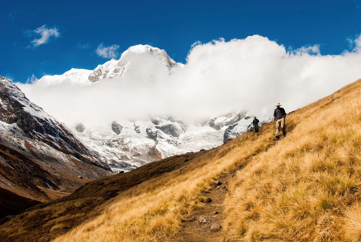 nepal, annapurna, poon hill, himalayas, trekking, snow mountain, golden grass, alpine meadow, sea of clouds, blue sky, adventure, travel, expedition, natural landscape, outdoor, mountain hiking, photography, mountain peak, hiking trails, scenery