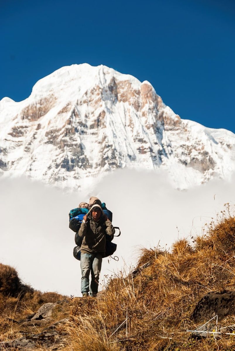 nepal, himalayas, annapurna, porter, trekking, backpack, snow, mountains, dry grass, blue sky, sea of clouds, adventure, local culture, hiking trail, himalayan trekking culture, expedition, travel photography, nature, dry landscape, high altitude