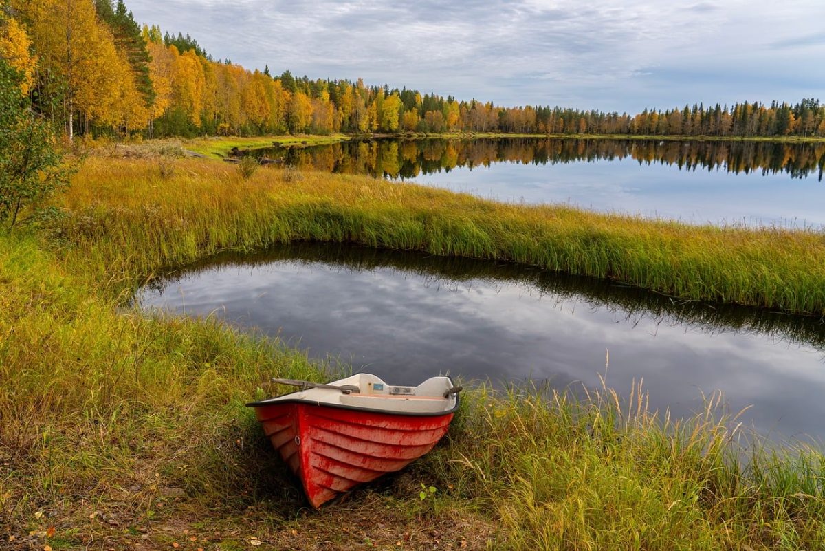 autumn, forest, lake, boat, red, autumn foliage, rowboat, nature, landscape, reflection, grass, tranquility, calm water, shore, mirror, peaceful, clear sky, relax, natural scenery