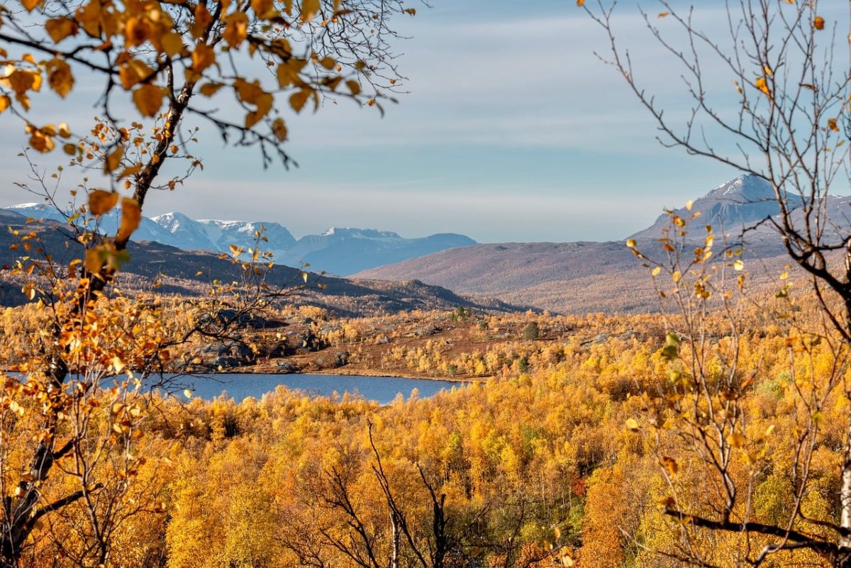 autumn landscape, autumn forest, lake, mountains, sunlight, autumn leaves, nature, trees, autumn colors, view, hills, idyll, sky, meadow, calm, hiking, autumn scenery, calm water, deciduous forest, peaceful scenery
