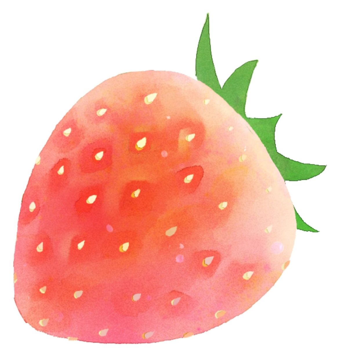 fruit, strawberry, watercolor, art, sweet, summer, red, healthy, nature, fresh, red fruit, delicious, delicate, simple, white background, bright, natural, simplicity, botany