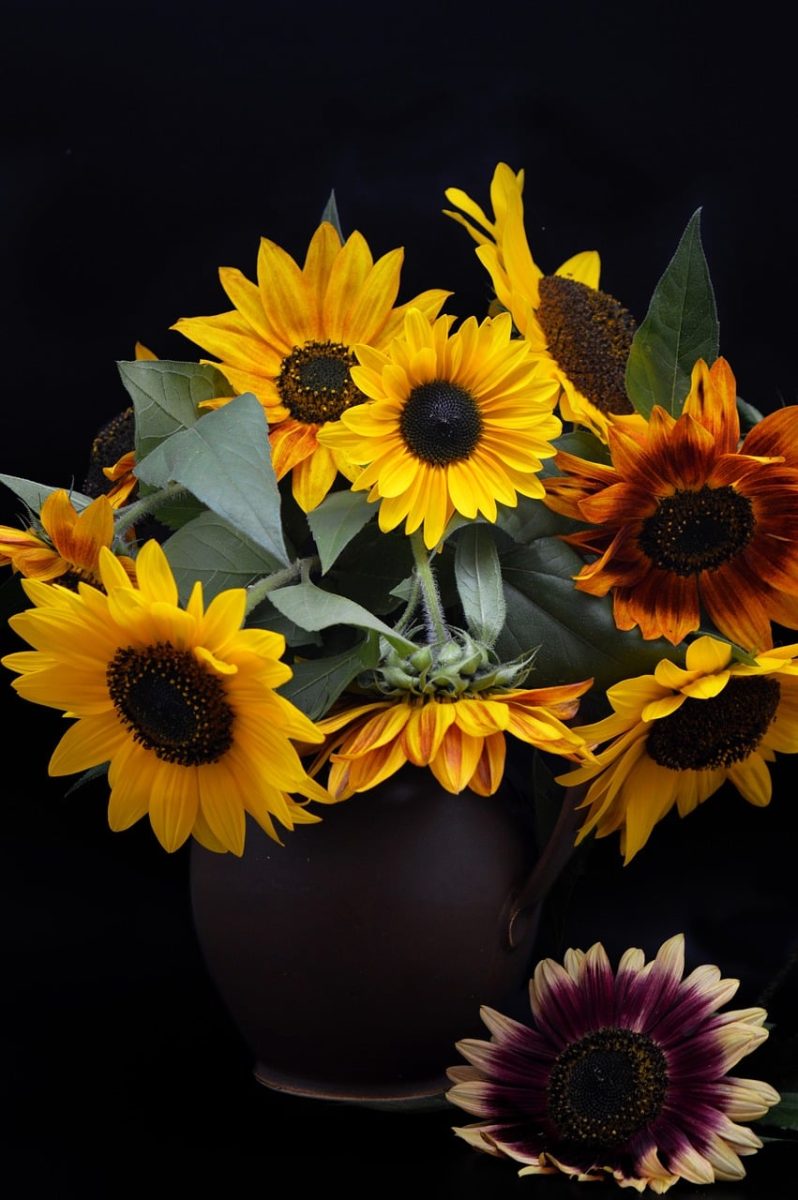sunflower, bouquet, vase, still life, autumn, dark, background, ornament, emotion, composition, beauty, decoration, nature, leaf, yellow, art, blossom, floral, romance, atmosphere