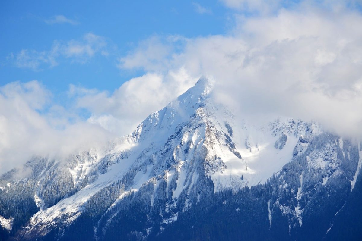mountain, clouds, snow, trees, winter, nature, peak, vegetation, blue, mist, cold, precipitation, winter landscape, snow cover, frozen, windy, landscape, north, beauty