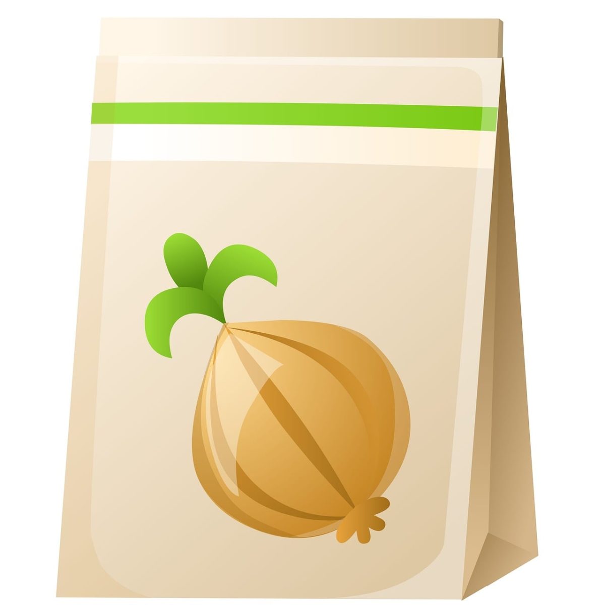seed packet, onion, gardening, packaging, symbol, agriculture, vegetable, eco-friendly, agricultural product, ornamental, agricultural, illustrative, organic, fresh design