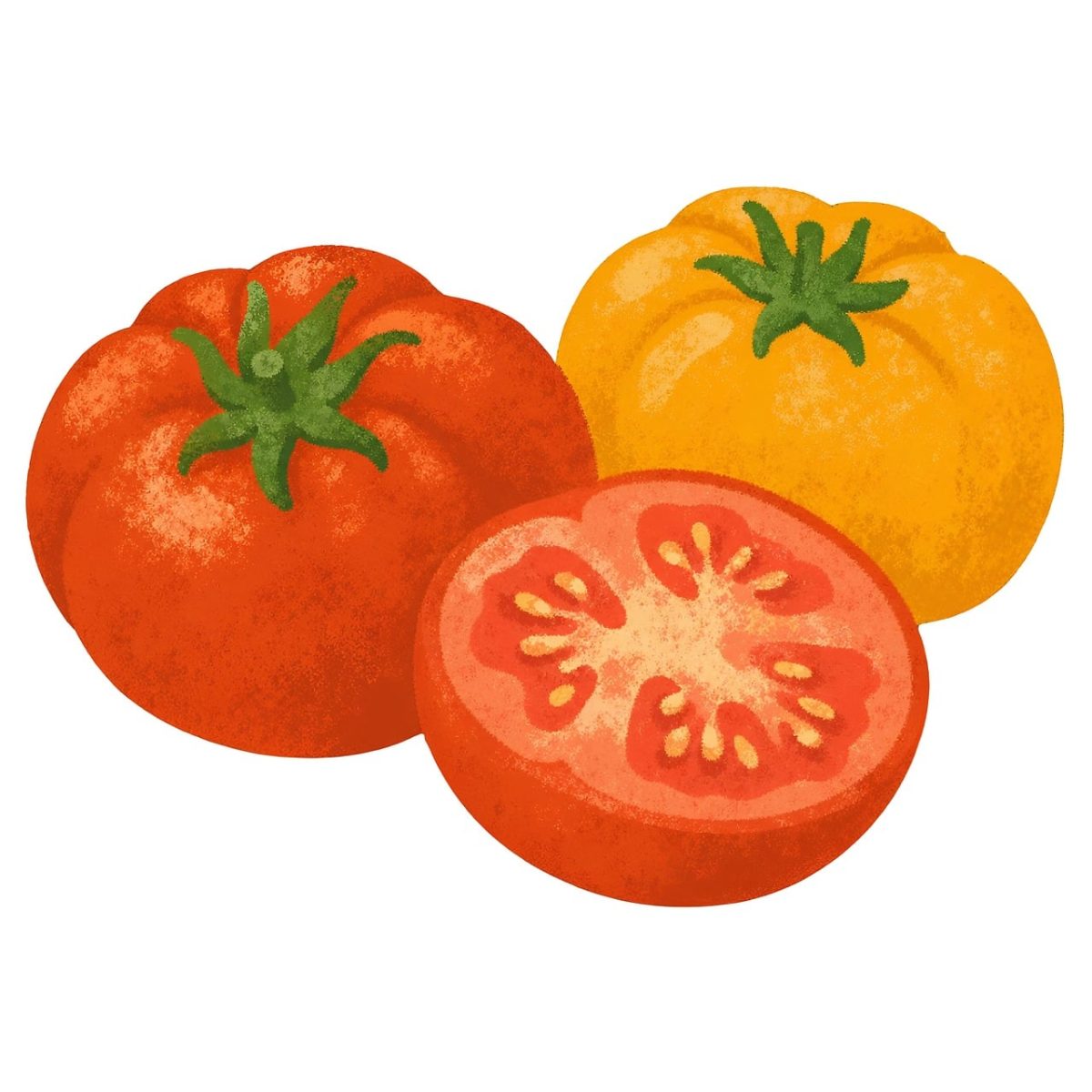 tomatoes, yellow tomato, red tomato, tomato slice, tomato stem, vegetable, sliced, fresh, colorful, season, summer, healthy, yellow, red, organic, nature, drawing, food, diet, decorative