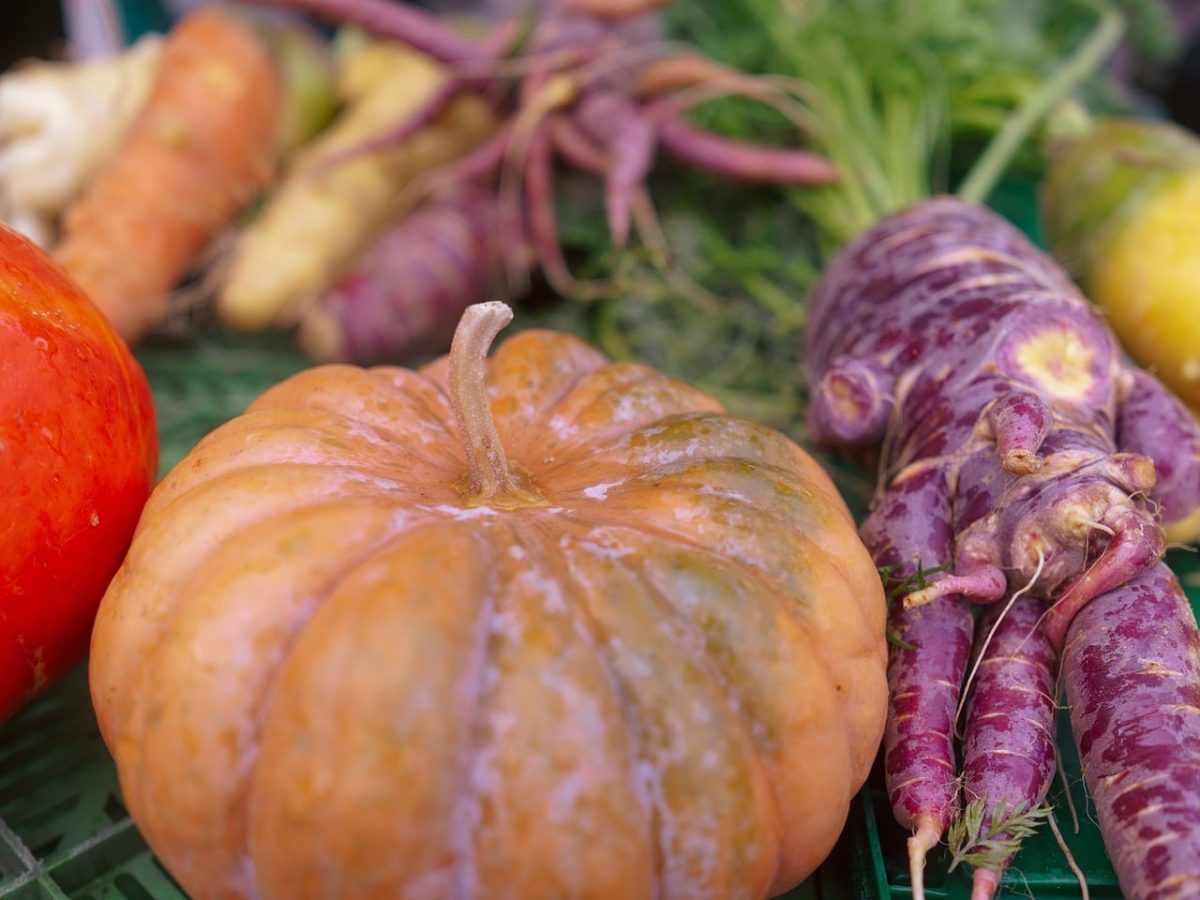 pumpkin, vegetables, autumn, halloween, harvest, nature, organic, agriculture, carrot, root vegetables, purple carrots, homegrown, market, seasonal food, healthy eating, freshness, colorful food, fresh vegetables, organic farm