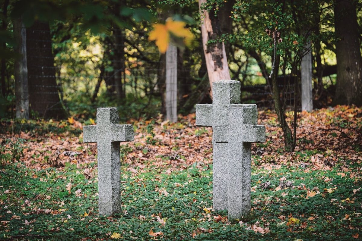 cross, headstone, forest, autumn, leaves, falling leaves, tombstone, cemetery, stone, memorial stone, historical, heritage, park, silence, peace, shadow, nature, idyllic, ancient, fallen leaves, remembrance, Nowy Dwór Mazowiecki, Masovian Voivodeship, Poland