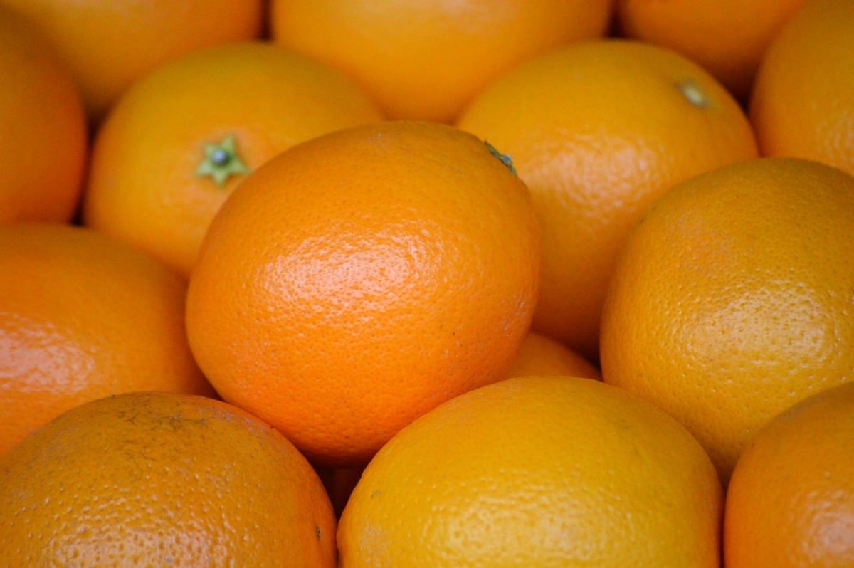 oranges, ripe, vitamin c, healthy, organic, citrus, fresh, sweet, food, nutrition, health, peel, juice, fiber, sunny, healthy diet, daily, spring, food sale, diet, buy
