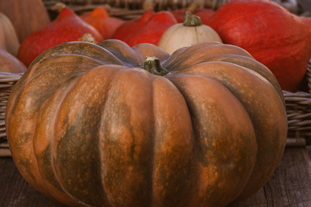 pumpkin, autumn, vegetable, basket, harvest, holiday decoration, ornament, agriculture, harvest festival, autumn decoration, seasonal, texture, food, festive, pumpkin soup, pattern, fall colors, traditional, craft, rustic