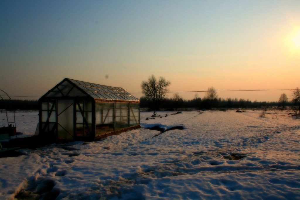 nature, tver, village