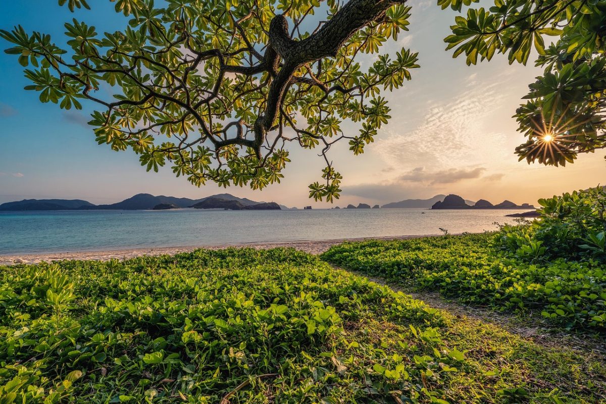 sunset, sand, beach, islands, leaf, subtropical, okinawa, japan, beautiful nature, nature, landscape, hd wallpapers, hd wallpaper, nature background, nature wallpaper