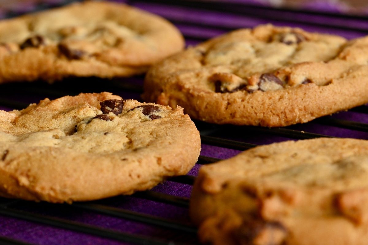 cookies, sweets, dessert, chocolate chip, sugar, food, baking, calories, cookies, cookies, cookies, cookies, cookies