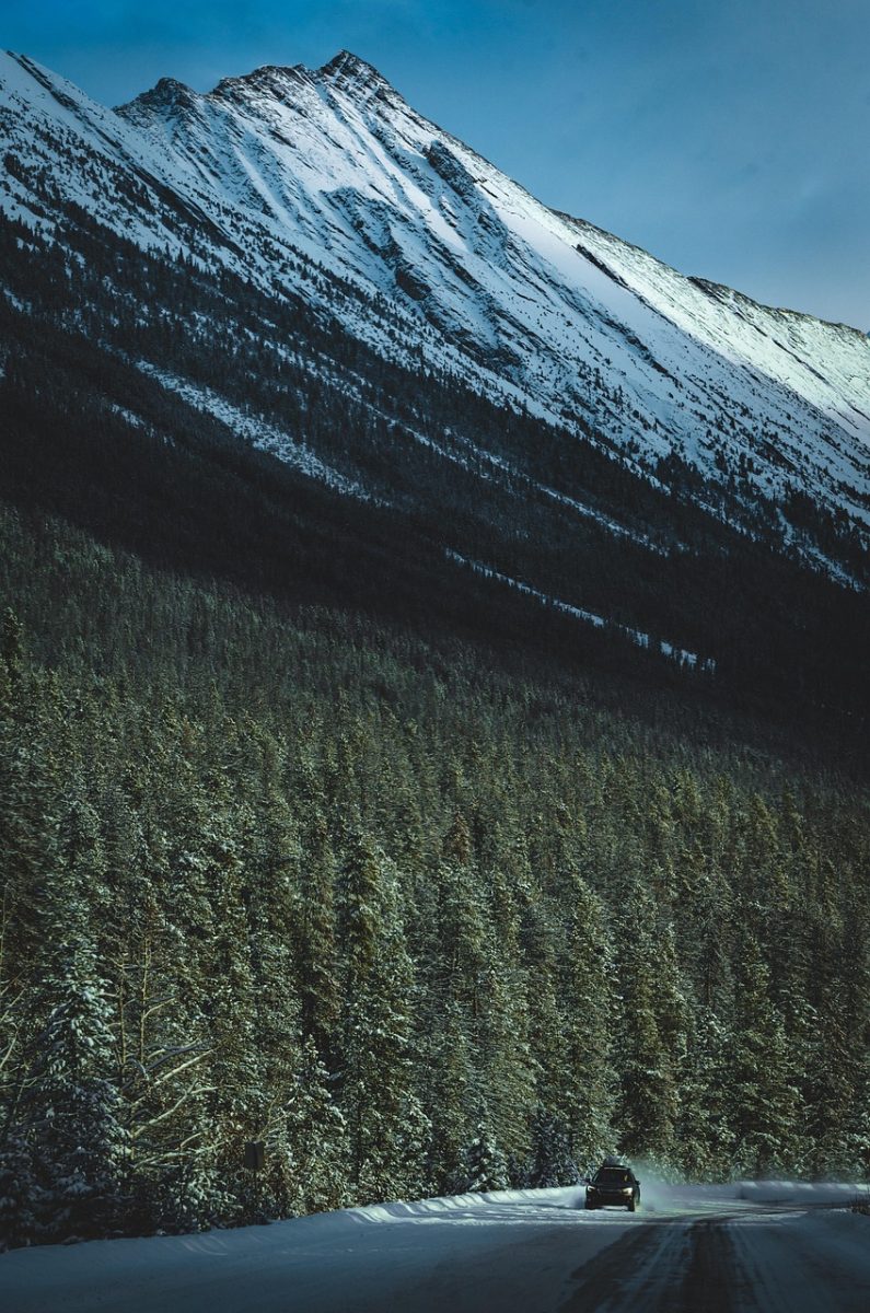 winter, snow, mountain, jasper, canada, banff, alberta, nature, travel, forest