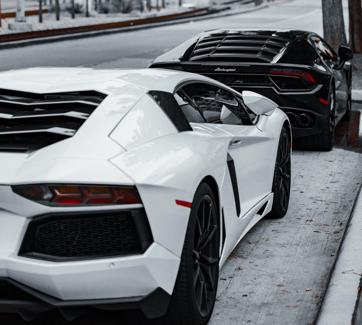 super cars, luxury cars, lamborghini, corvette, black car, white car, sports cars, exotic cars, car photography, daytime, parked cars, black lamborghini, white lamborghini, black corvette, high-end vehicles, automobile, car collection, outdoor, sunny day