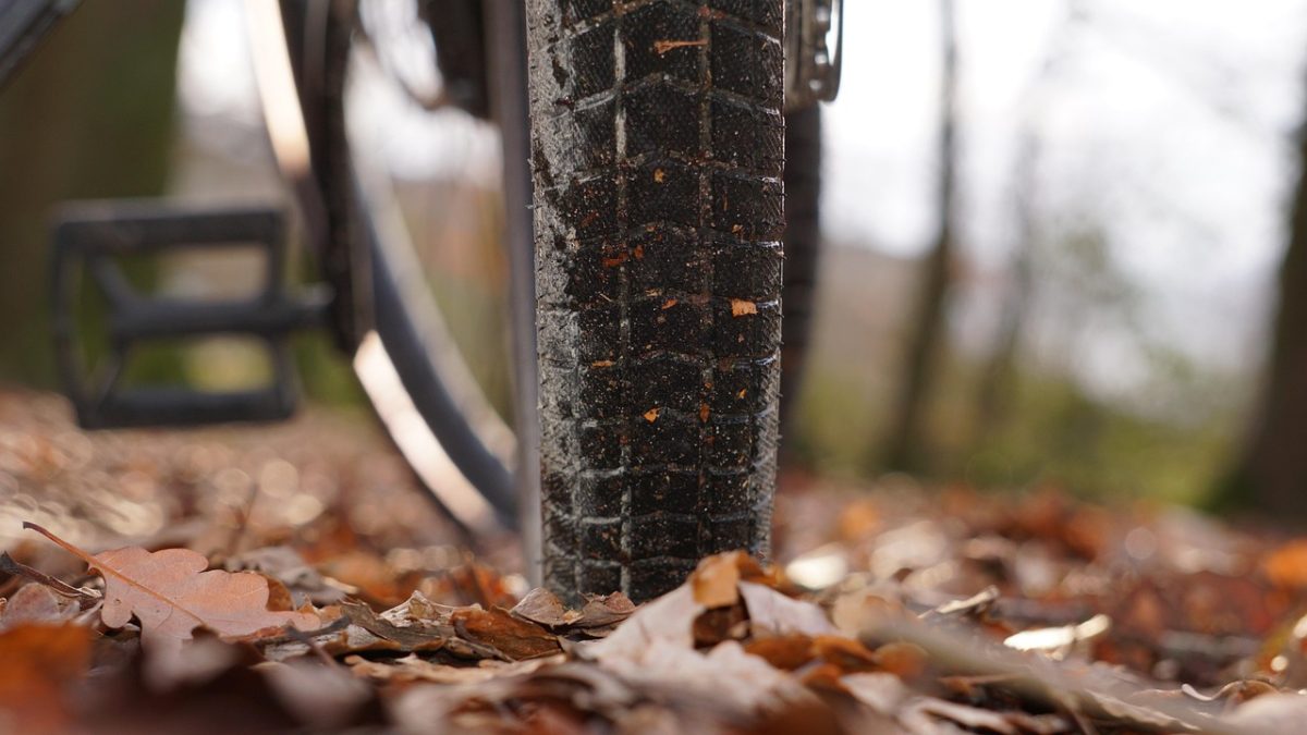 bicycle, cycling, fall, autumn, forest, nature, outdoors, sports, symbol, cycle, bike, cyclist, wheel, leisure time, move