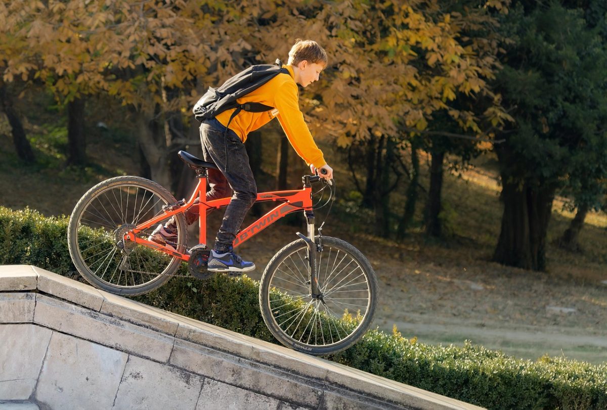 boy, bicycle, stunt, child, riding, descending, slope, stone, concrete, park, nature, autumn, trees, colors, sports, recreation, lifestyle, adrenalin