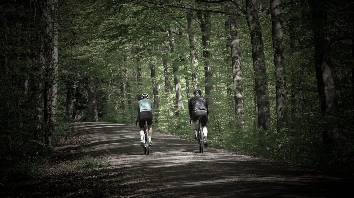 cyclist, sports, road bike, hobby, forest path, leisure time, training