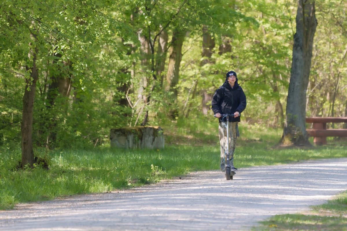 girl, nature, electric scooter, trees, grass, sports, recreation, lifestyle