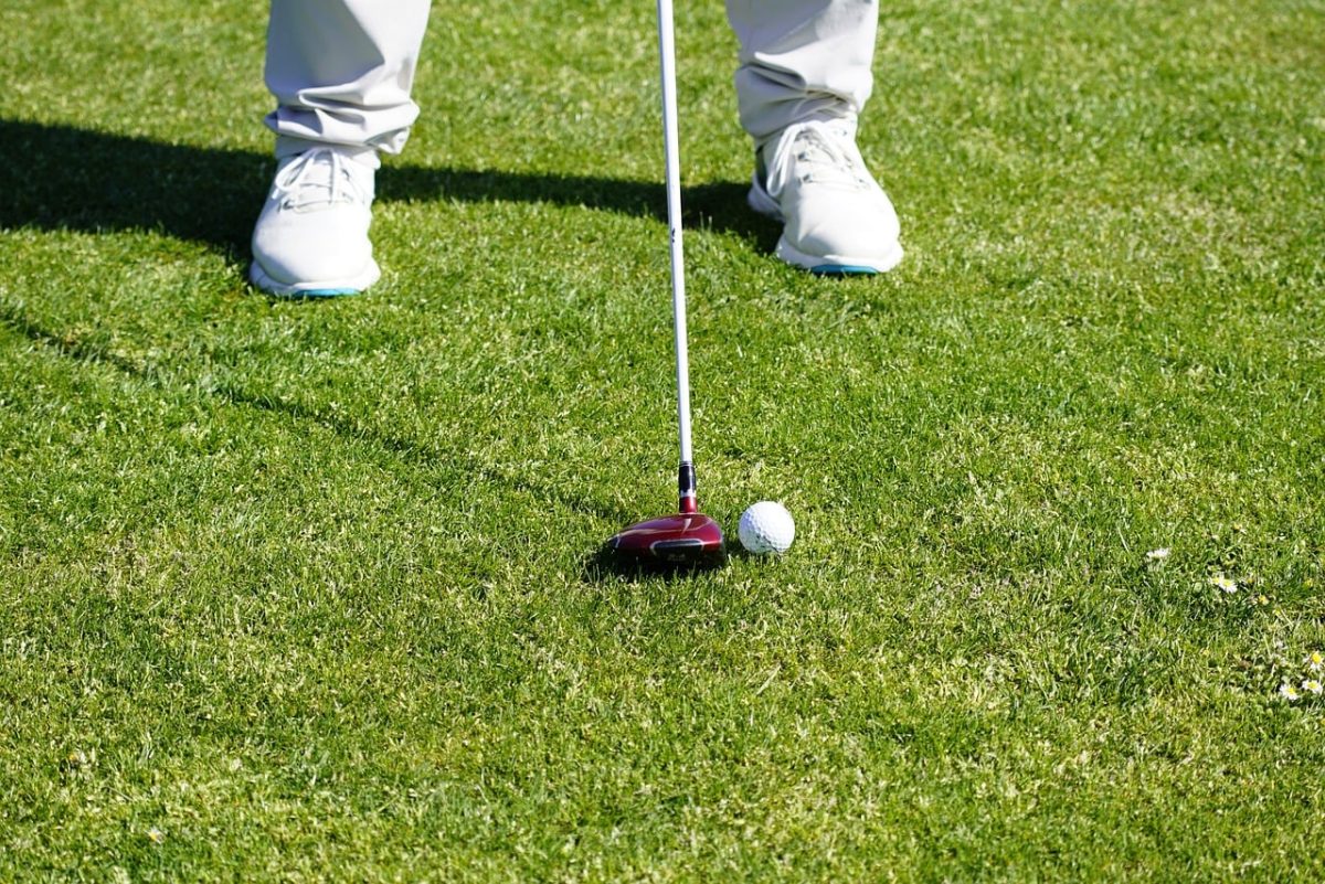 golf, sport, fairway, fairway wood, club