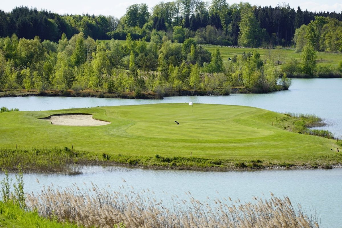 golf, nature, sport, course, green, island green, landscape, lake