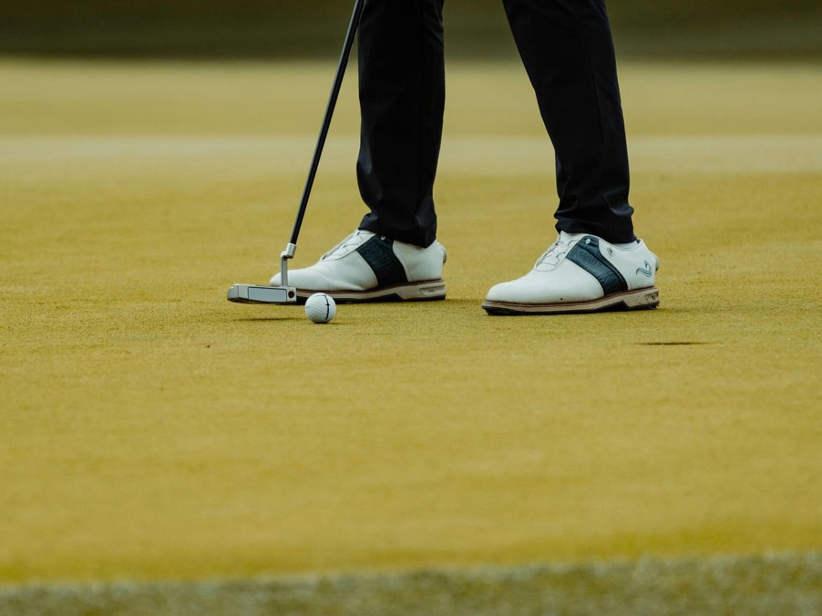 golf, sport, nature, green, grass, golfer, ball