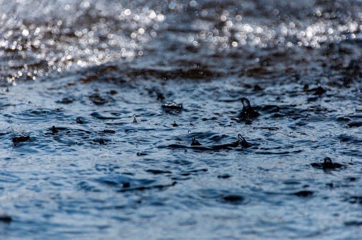 water, drops, rain, waves, fluid, water surface, splash, nature, droplets, wave effect, wet