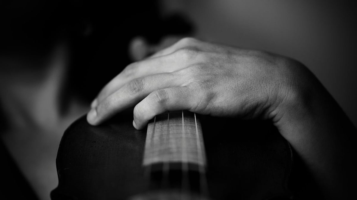 violin, violinist, instrument, concert, melody, song, music, musician, rope, orchestra, classic, cello, monochrome, artist, artistic, basel, switzerland