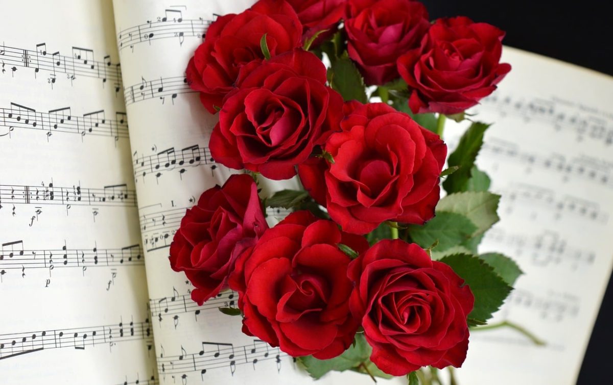 roses, red roses, grades, love song, love, sheet music, blossoms, flower, teacher gradebook, make music, concert, songs, wedding song, to sing, choir, sounds, music, love for music, notenblatt, birthday song, date of birth, birthday greeting, valentine's day, hd background, melody