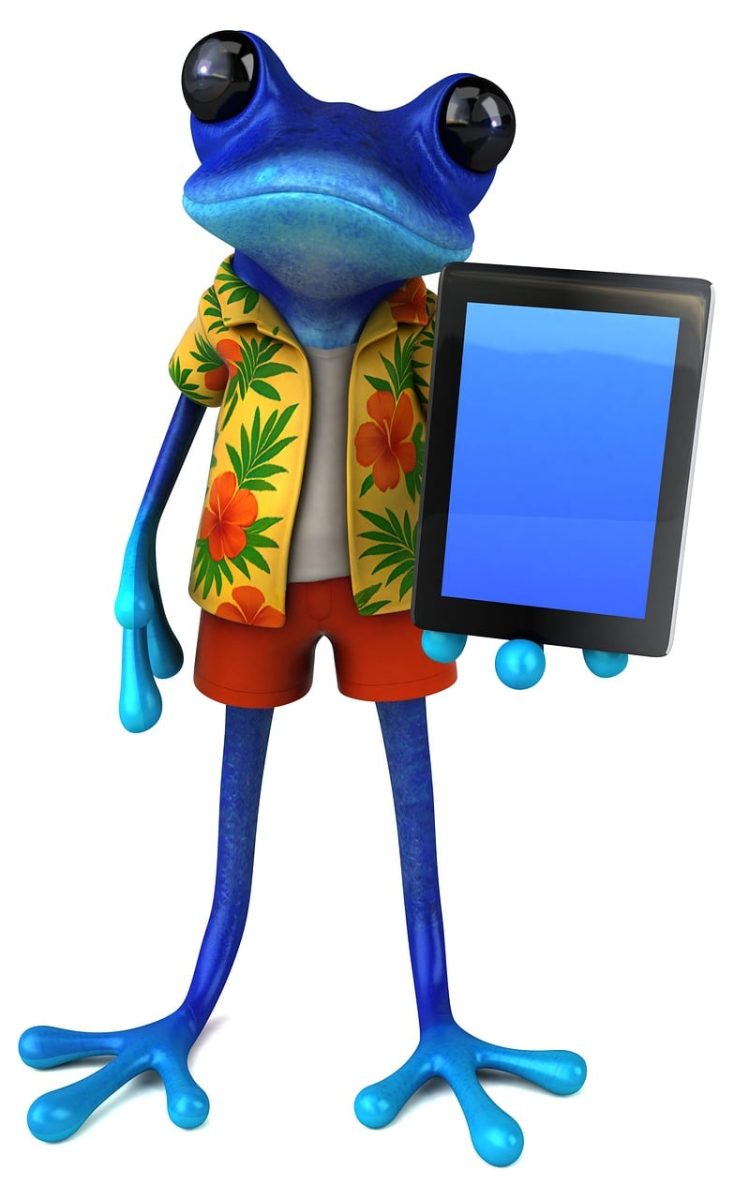 frog, fun, 3d, cartoon, hawaii, nature, shirt, vacation, holidays, animal, tablet