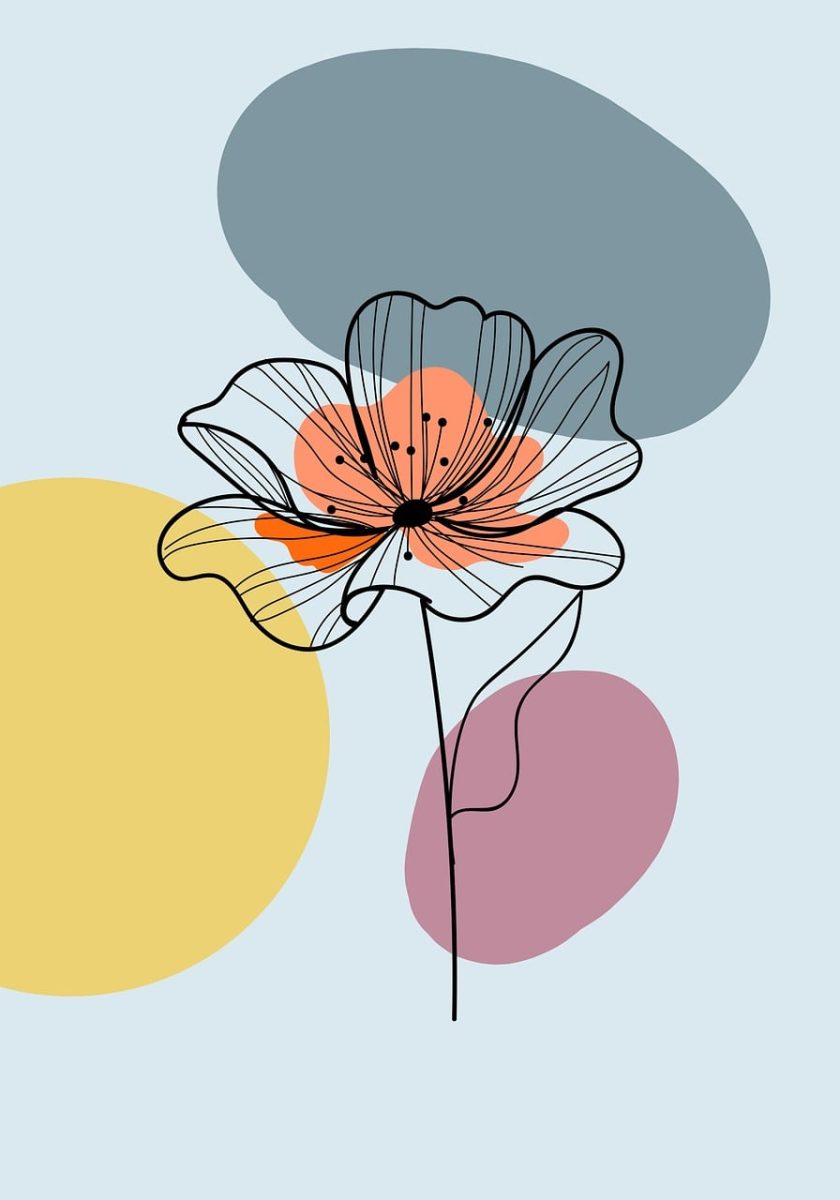 botanical, flower background, flowers, minimalistic, flower wallpaper, floral background, rose flower, rose, beautiful wallpaper, boho, beautiful flowers, bohemian, background, drawing, nature