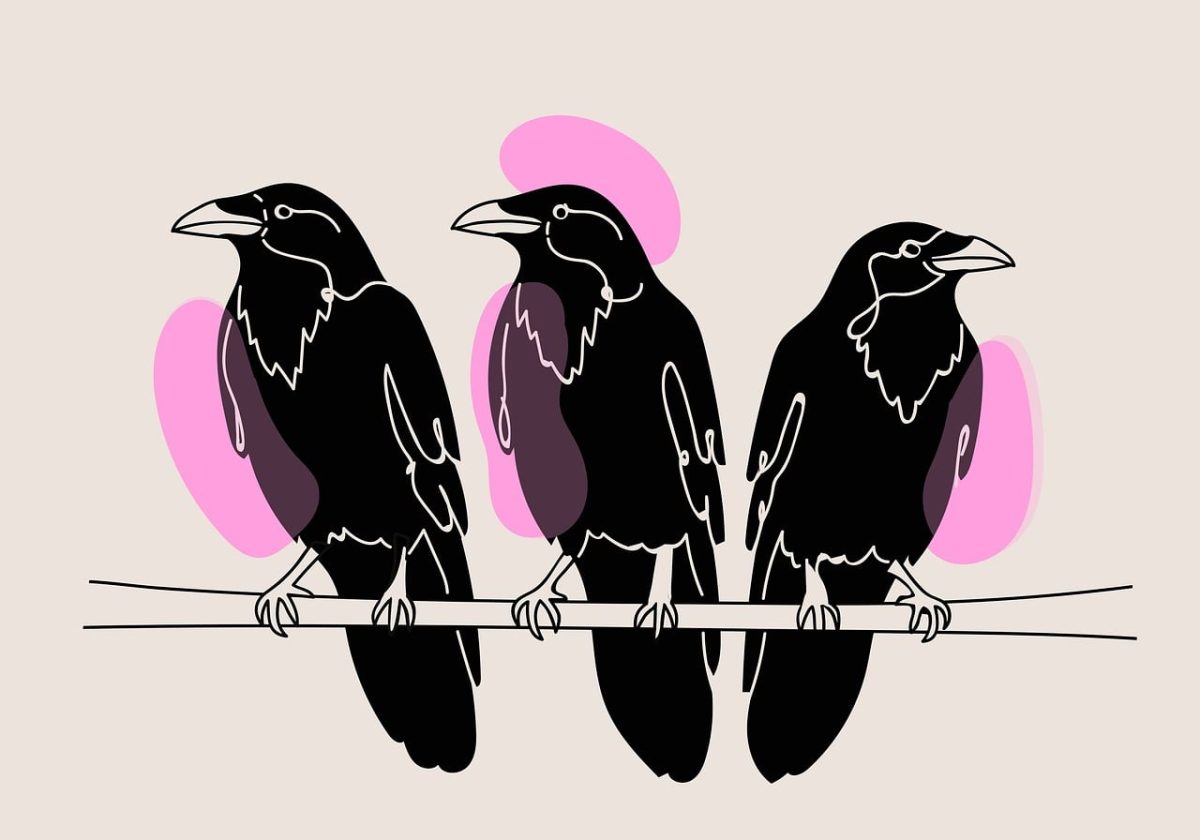 crows, boho, mac wallpaper, cool backgrounds, windows wallpaper, bohemian, wallpaper hd, background, drawing, free background, hd wallpaper, line drawing, beautiful wallpaper, birds, 4k wallpaper 1920x1080, laptop wallpaper, free wallpaper, desktop backgrounds, full hd wallpaper, 4k wallpaper, wallpaper 4k, feathers, nature