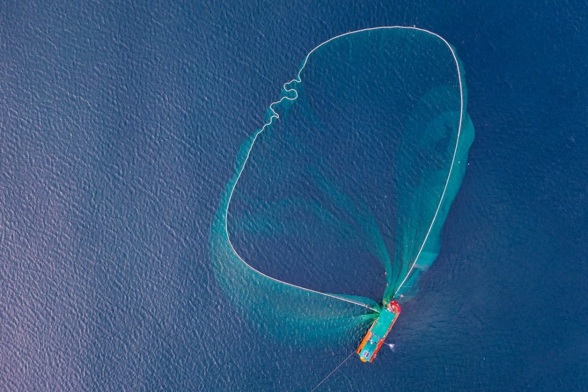 vietnam, phu yen, sea, boat, fishing net, aerial view, landscape, blue, water, fishing, natural, colorful, southeast asia, fishing boat, nature, catch, calm, oar, coastal, tourism, sustainability