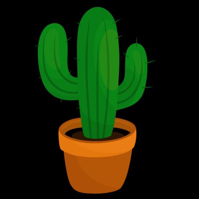 cactus, nature, flora, garden, kitchen, succulent, cacti, botany, window, blossom, green, home, plant