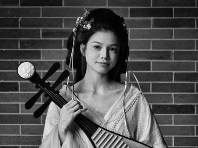 pipa, musician, lady, han, instrument, entertainer, performer