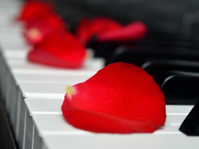 rose petals, wedding song, piano, piano keyboard, keyboard, make music, concert, songs, love song, to sing, choir, sounds, music, melody, love for music, birthday song, date of birth, birthday greeting, valentine, valentine's day, love, petals, red petals