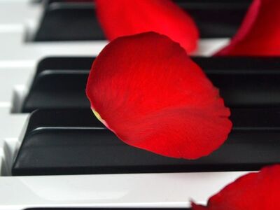 rose petals, wedding song, piano, piano keyboard, keyboard, make music, concert, songs, love song, to sing, choir, sounds, music, melody, love for music, birthday song, date of birth, birthday greeting, valentine, valentine's day, love, petals, red petals