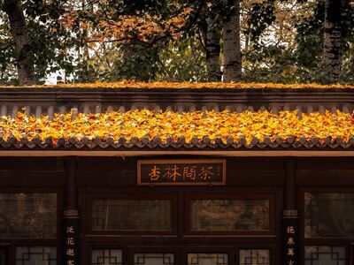 leaves, autumn, trees, tea, sign, ancient, architecture, house, history, fall, asian, garden, culture, landscape, chinese, fallen leaves, nature, peaceful, calm, roof