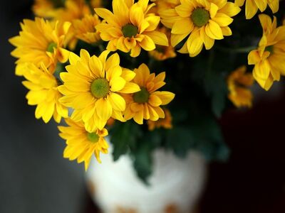 flowers, yellow gerbera, nature, vase, blooming, yellow, decoration, interior, bouquet, home, flower background, floral arrangement, beauty, bright colors, houseplant, flower wallpaper, beautiful flowers, yellow flowers, romantic, artistic, detail