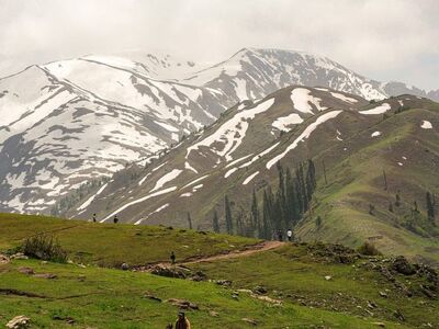 mountains, nature, landscape, hiking, forest, horse, rider, path, meadow, snow, alpine, summit, clouds, sky, summer, horse riding, outdoor, travel, adventure, scenery, pasture