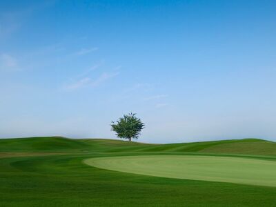 golf course, tree, blue sky, summer, tranquility, nature, sport, grass field, solitude, greenery, countryside, hills, lonely landscape, soft light, peaceful landscape, lone tree, short grass, space, natural beauty
