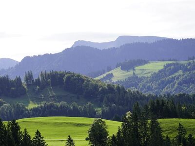 landscape, alps, nature, mountains, trees, forest, green, meadow, sunny, panorama, tranquility, morning, horizon, alpine meadows, mediterranean, agricultural, mountainous, travel, hiking, charming