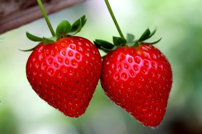 strawberries, fruit, red, fresh, healthy, macro, close-up, ripe, sweet, vitamins, organic, garden, natural, seasonal, flavor, vegan, plant-based, diet, summery