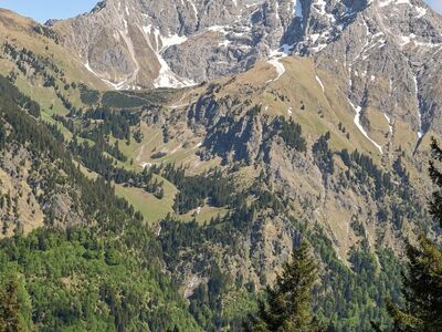 mountain, spring flowers, panorama, hiking, nature, landscape, clouds, sky, forest, snow fields, bavarian alps, outdoor, spring, gentian, globeflower, mountaineering, alpine flora, vivid, rocky