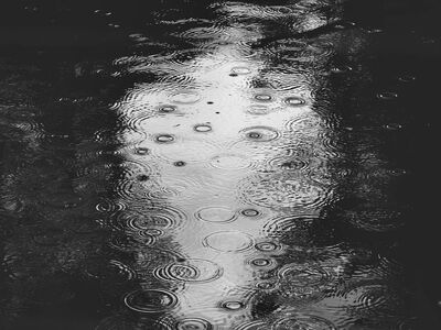 rain, water surface, raindrops, black and white photo, surface, precipitation, wet, circle, texture, pattern, abstract, ripple, minimalism, reflections, drawing, immersion, tread pattern, mirroring, pondering, water