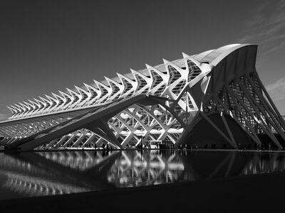 modern architecture, valencia, art and science, futuristic design, spanish architecture, black and white photo, architectural marvel, famous building, sunny day, symmetry, architecture photography, educational center, cosmopolitan city, spires, oceanography, dazzling, reflection, harmony, cultural center, geometric shapes