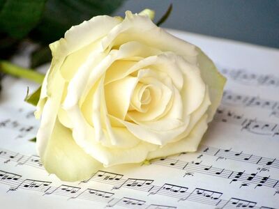 yellow rose, sheet music, happy mothers day, romantic, love, valentine, music, flower, love song, wedding song, relationship, emotions, in love, musical notes, affection, greetings, spiritual song, background, art, romantic song