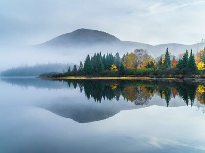 lake, fog, autumn, autumn nature, calm water, reflections, morning fog, forest, trees, canada, tremblant national park, landscape, nature, green, peninsula, mountains, misty morning, tranquil, depth, peaceful reflection